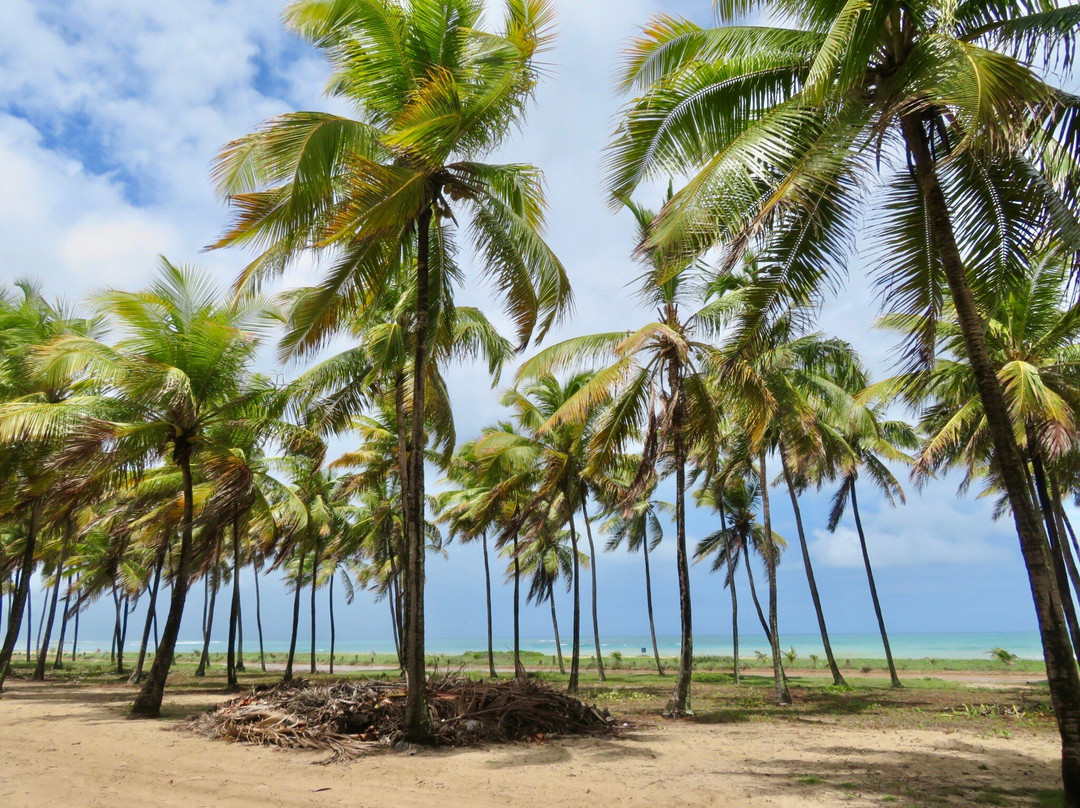 Praia De Maracaipe-嘎林海斯港必去景点
