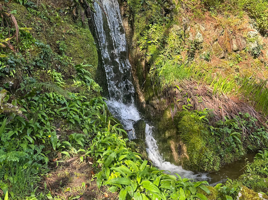 Executive Tours Ireland-利默里克必去景点