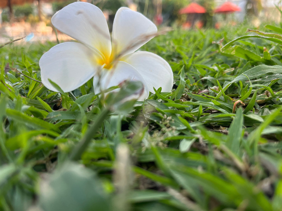 苏大马拉度假圣吉吉龙目岛主图