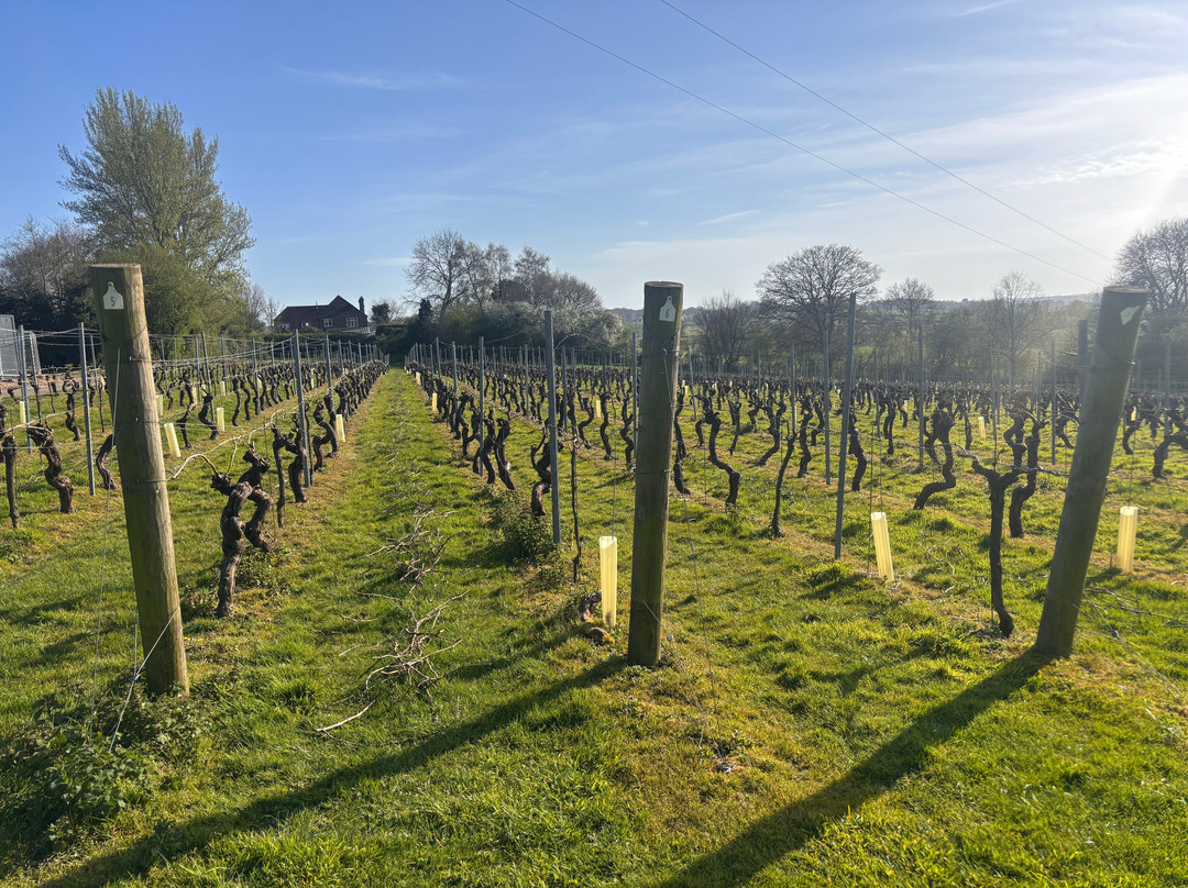 Chapel Down