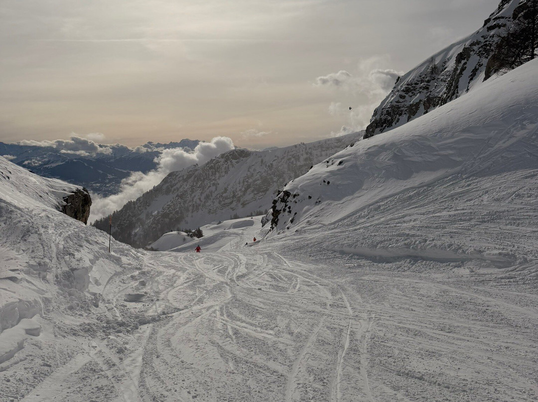 克莱恩大使酒店主图