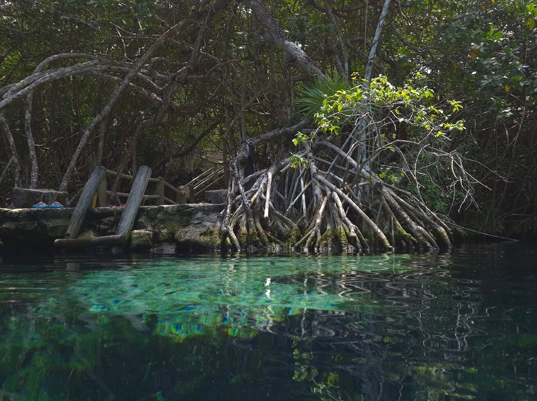Cenote Cristalino-普拉亚德尔卡曼必去景点