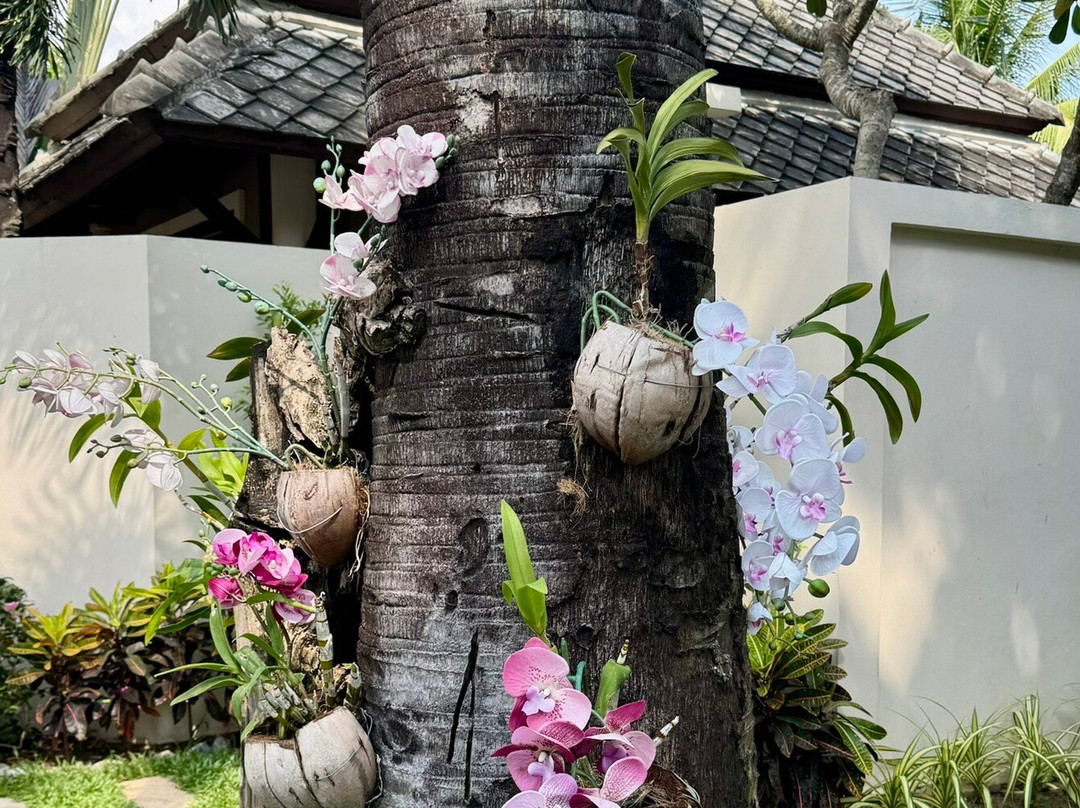 苏梅岛情人屋温泉别墅酒店主图