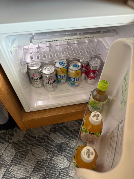 关西机场日航酒店-旅行者