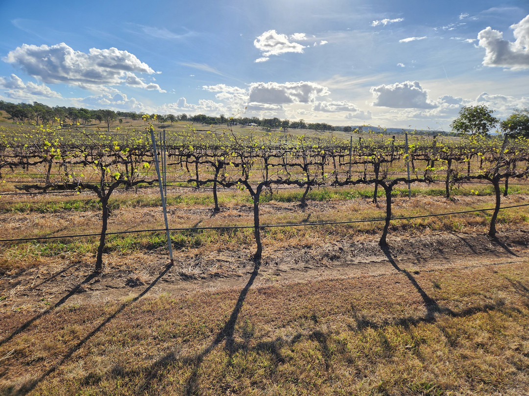 Clovely Estate Vineyard Cellar Door-Moffatdale必去景点