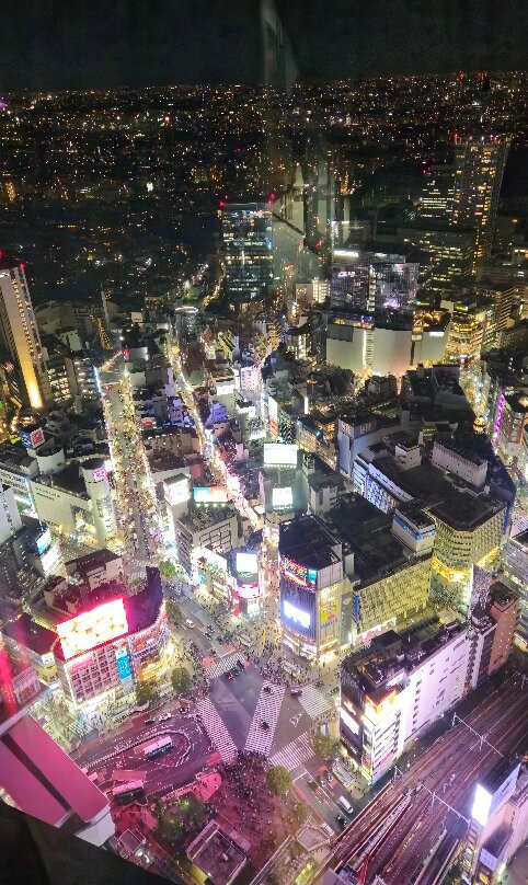 Shibuya Sky-涩谷区必去景点