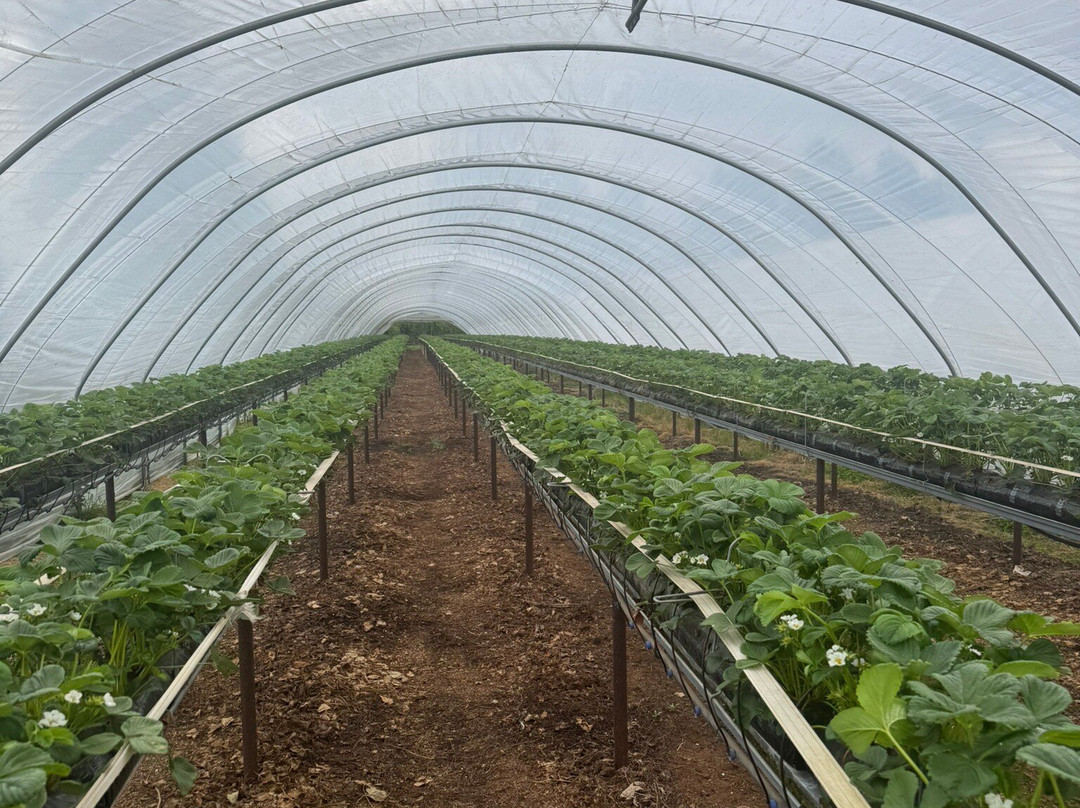 Rectory Farm-Stanton Saint John必去景点