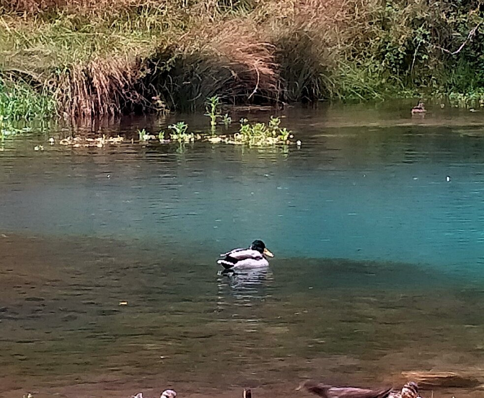 Nacimiento del Río Ebro-Fontibre必去景点