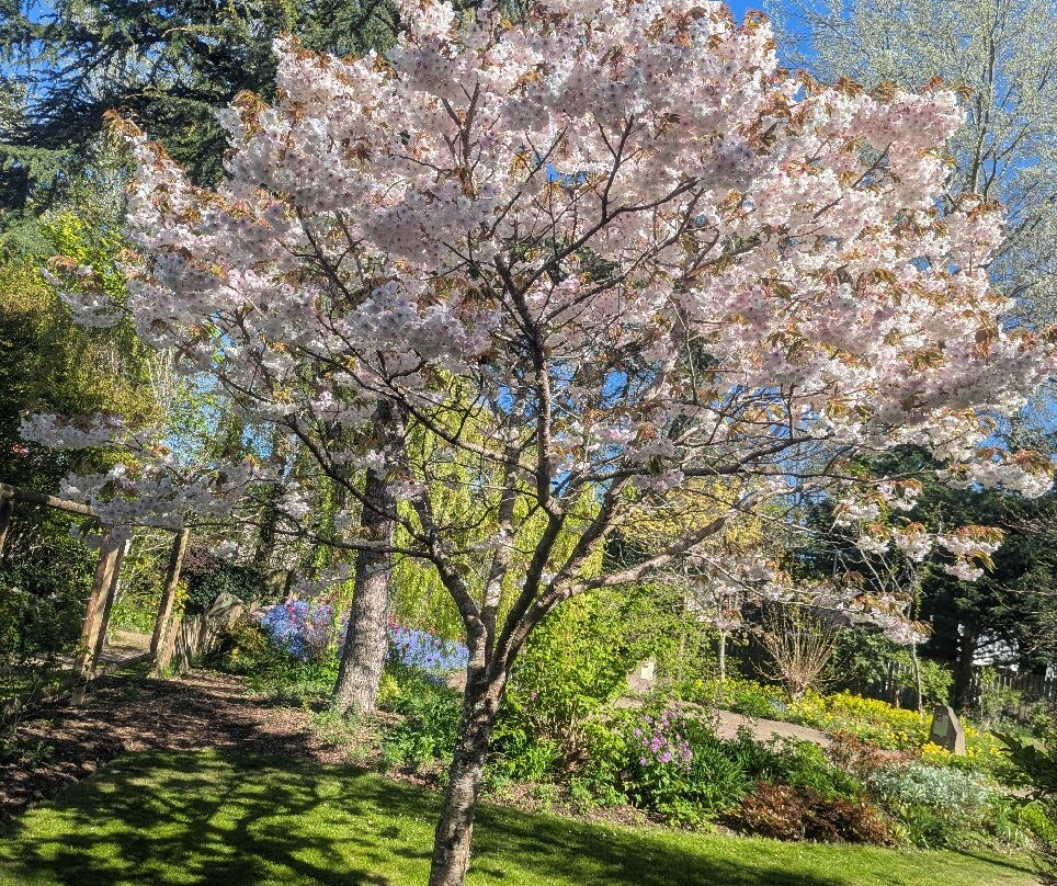 Biblical Garden Elgin-埃尔金必去景点
