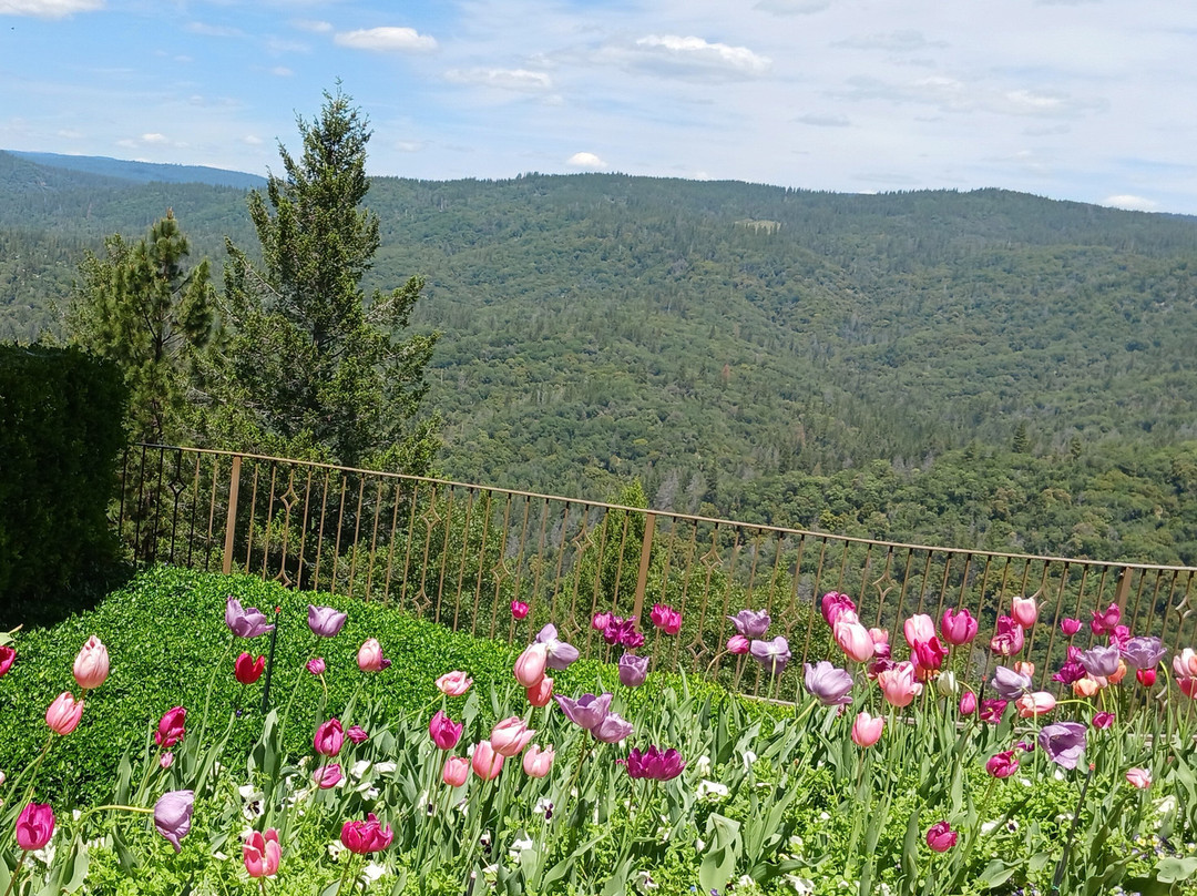 Crystal Hermitage Gardens-Nevada City必去景点