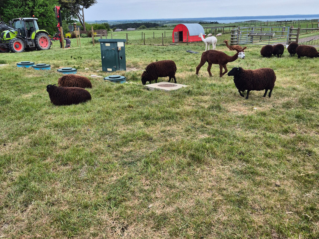 Tapnell Farm Park-雅茅斯必去景点
