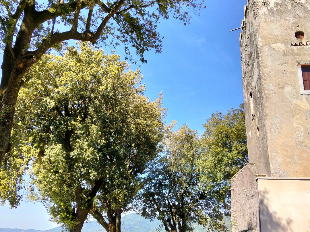 Del Gallo Castle and the Gardens of Horace-Mandela必去景点
