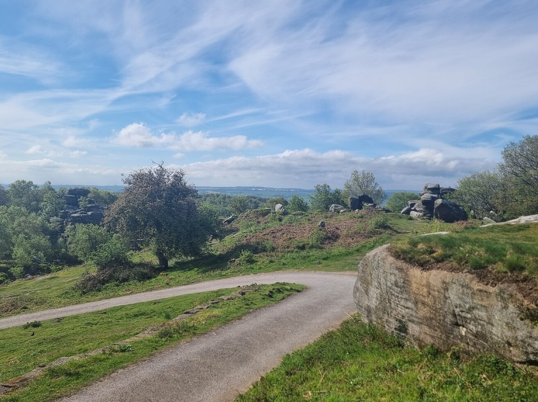 Brimham Rocks-哈罗盖特必去景点