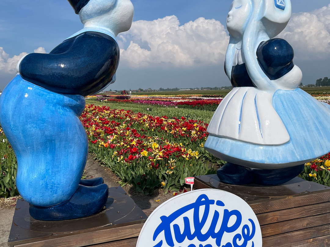 Tulip Experience Amsterdam-诺德韦克豪特必去景点