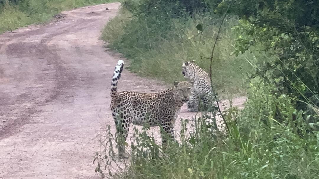 Akagera National Park-Eastern Province必去景点