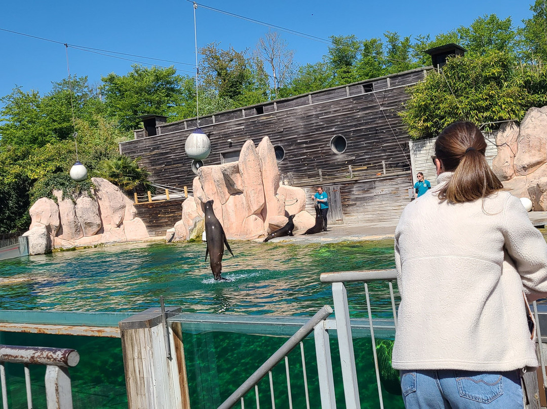 Zoo D'Amneville-昂内维尔必去景点