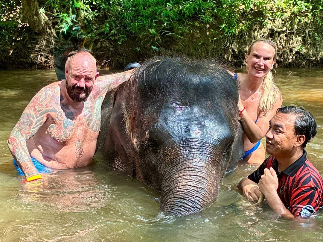 Kuala Gandah Elephant Sanctuary-彭亨必去景点