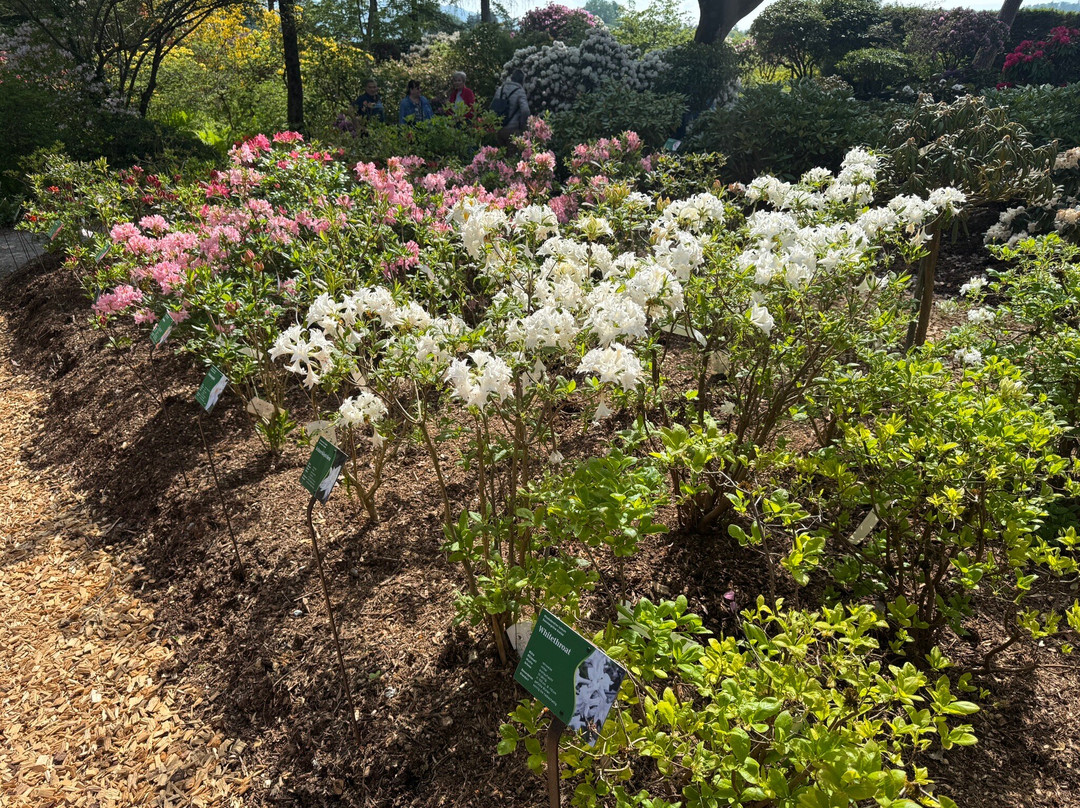Park Seleger Moor-Rifferswil必去景点
