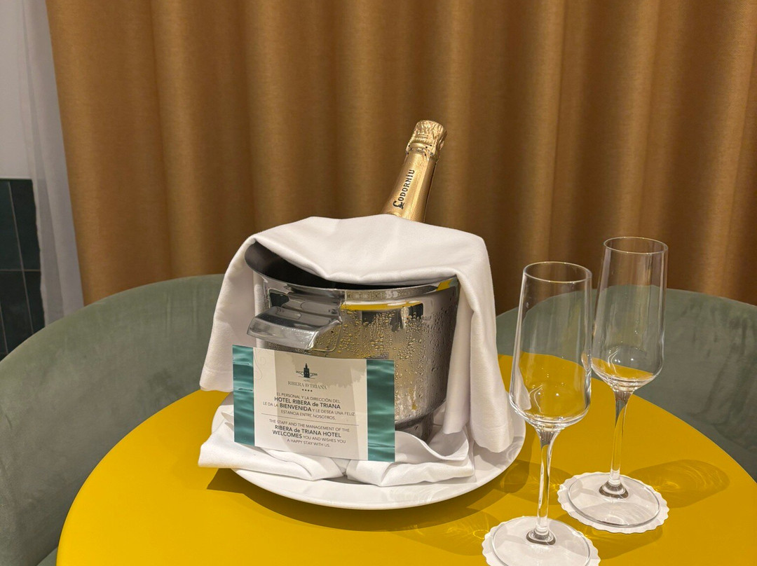 里贝拉特里亚纳酒店主图