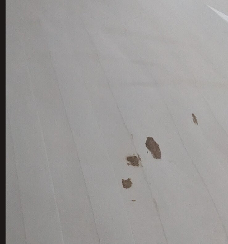 河滨小屋酒店主图