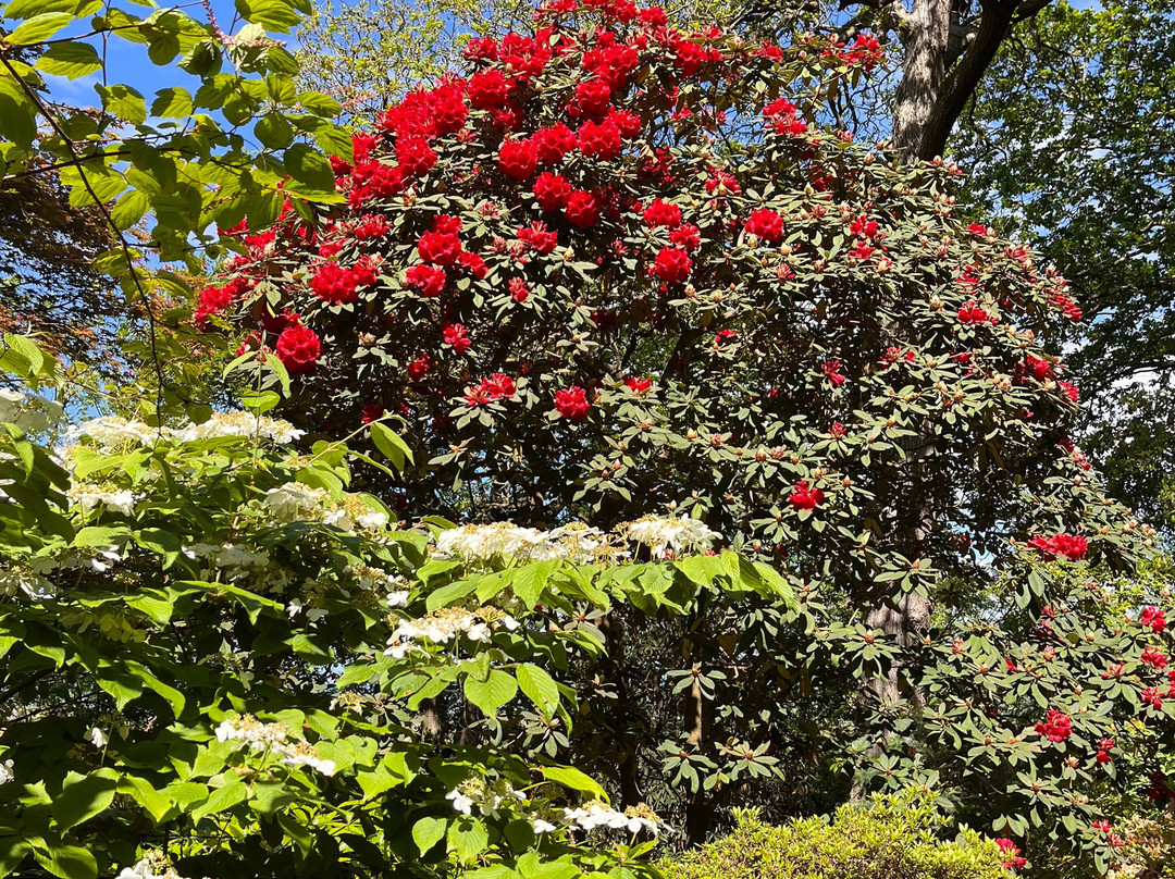 Greencombe Gardens-Porlock必去景点