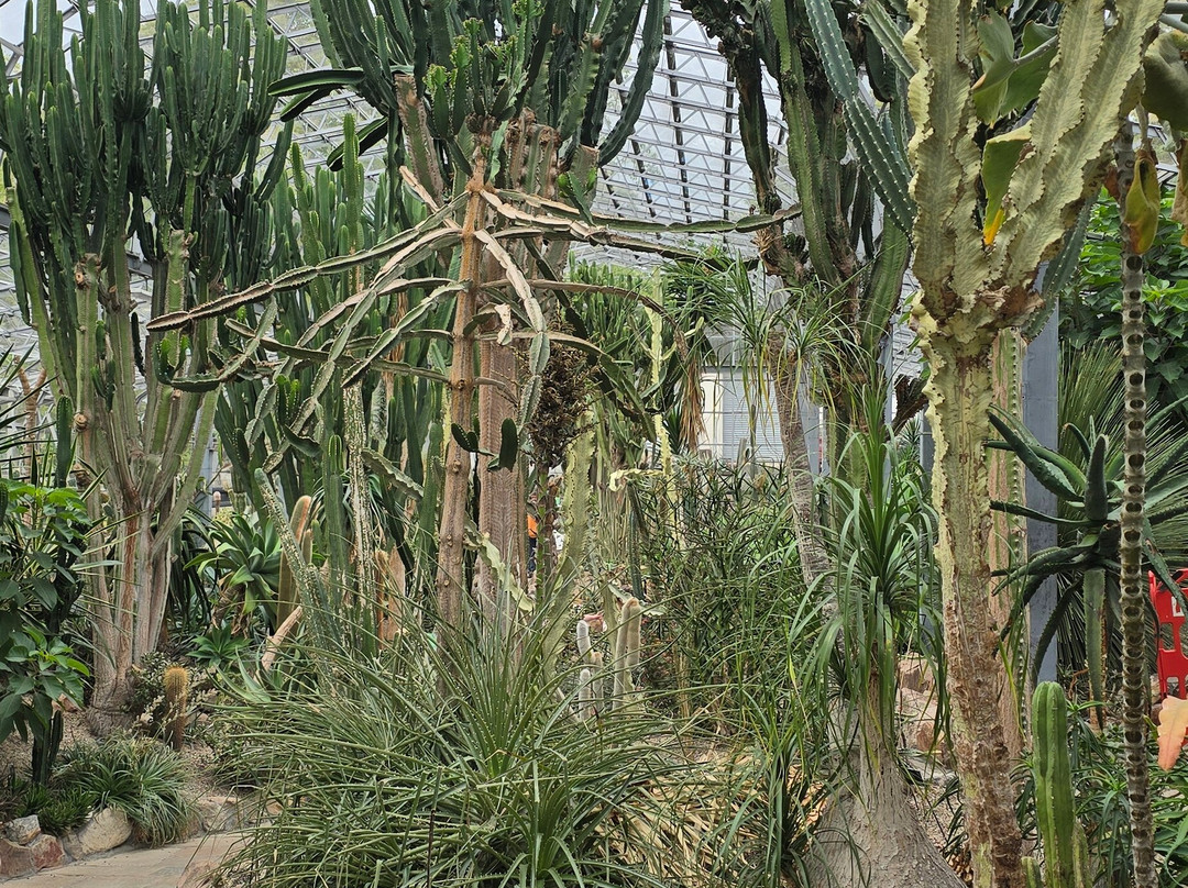Duthie Park Winter Gardens-阿伯丁必去景点