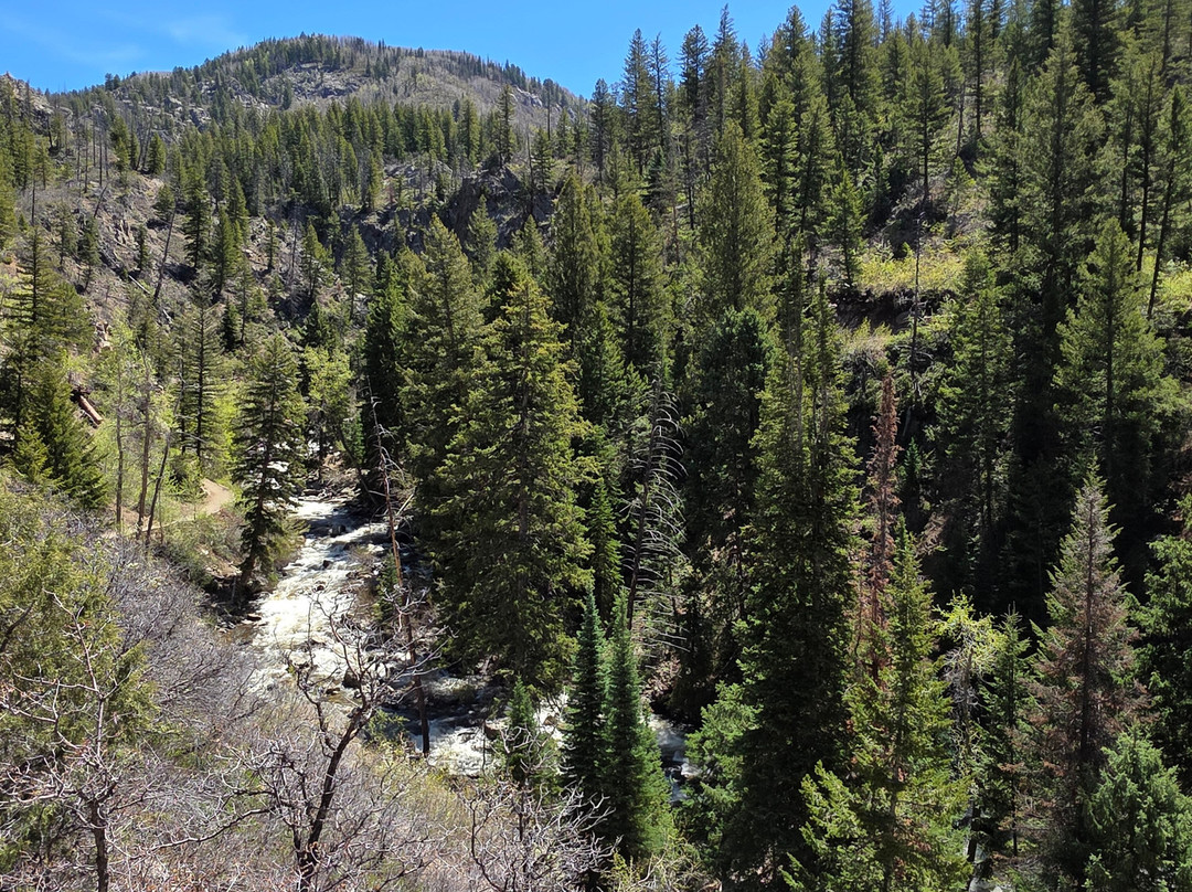 Fish Creek Falls-斯廷博特斯普林斯必去景点