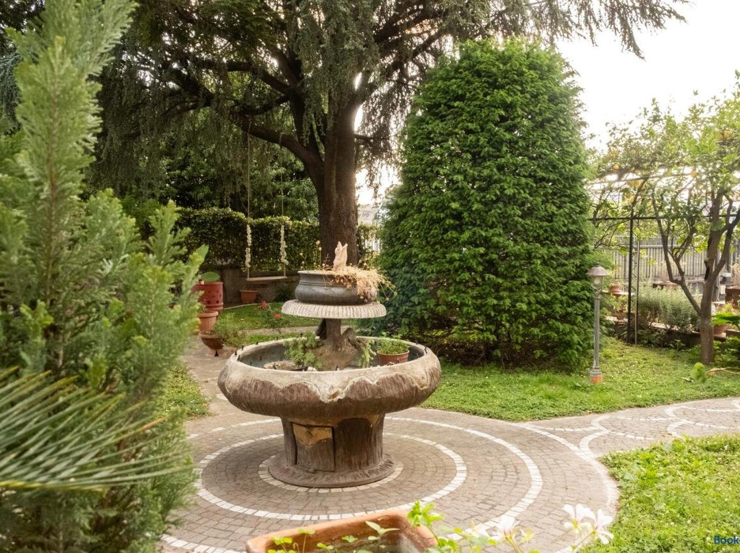 Il Pino Argentato