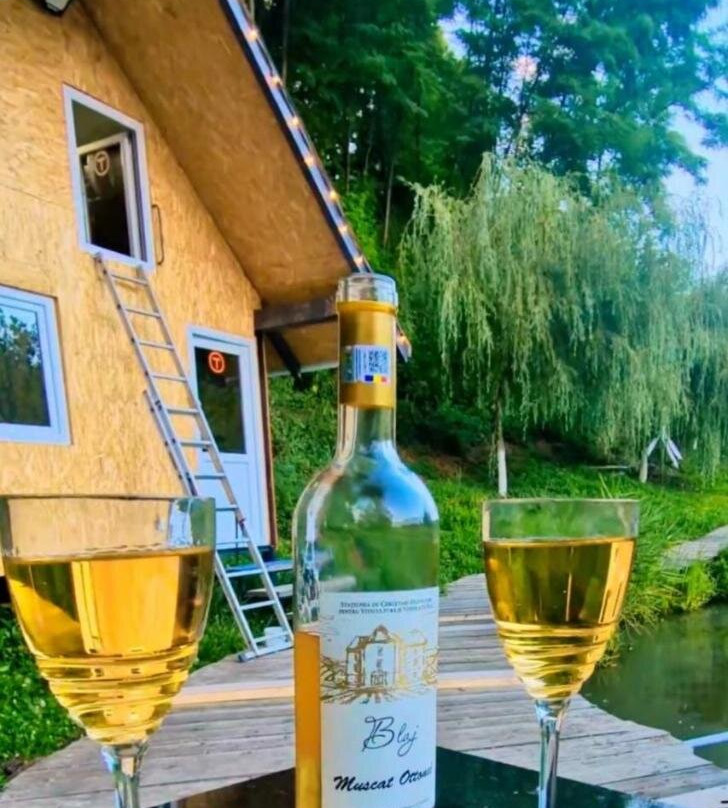 Casa din vale