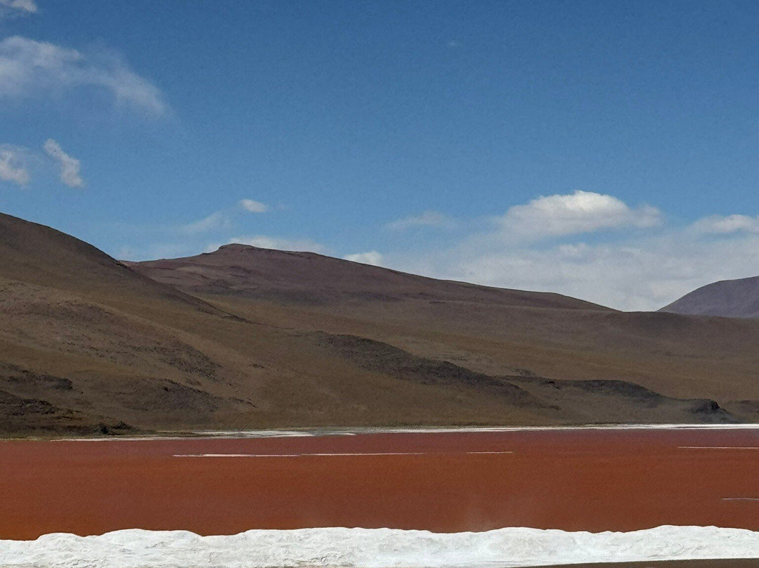 Laguna Colorada-乌尤尼必去景点