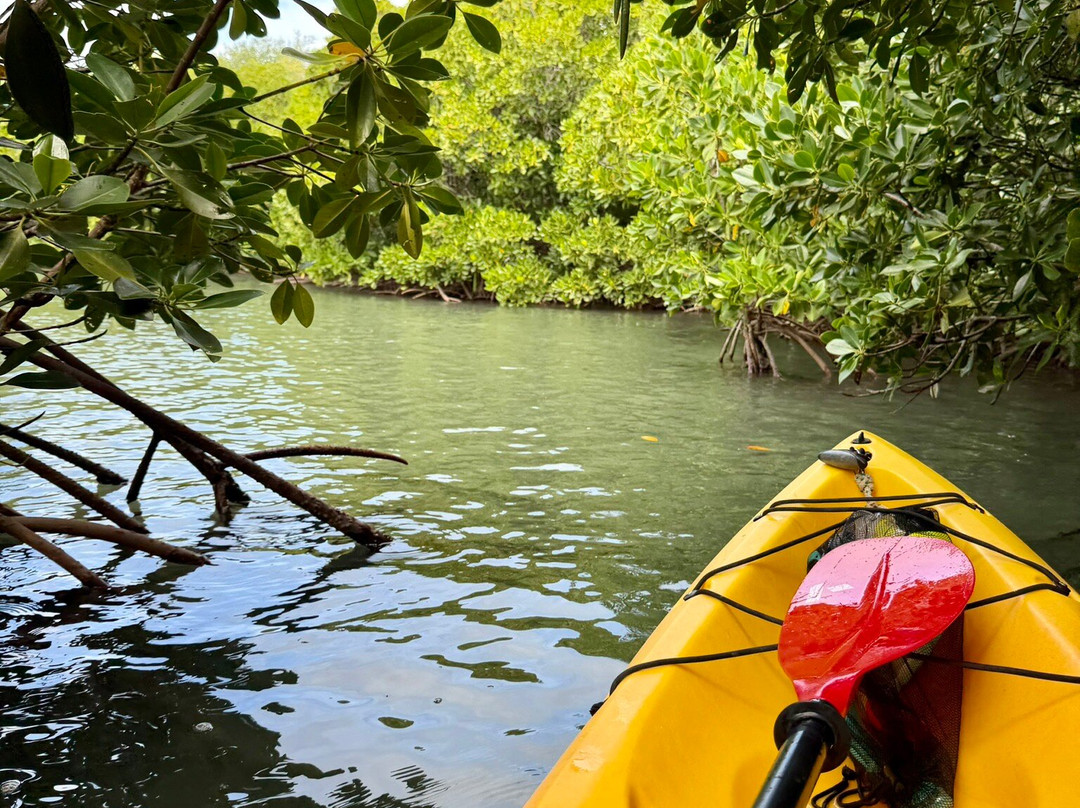 Sea Kayak Adventures-毛里求斯必去景点