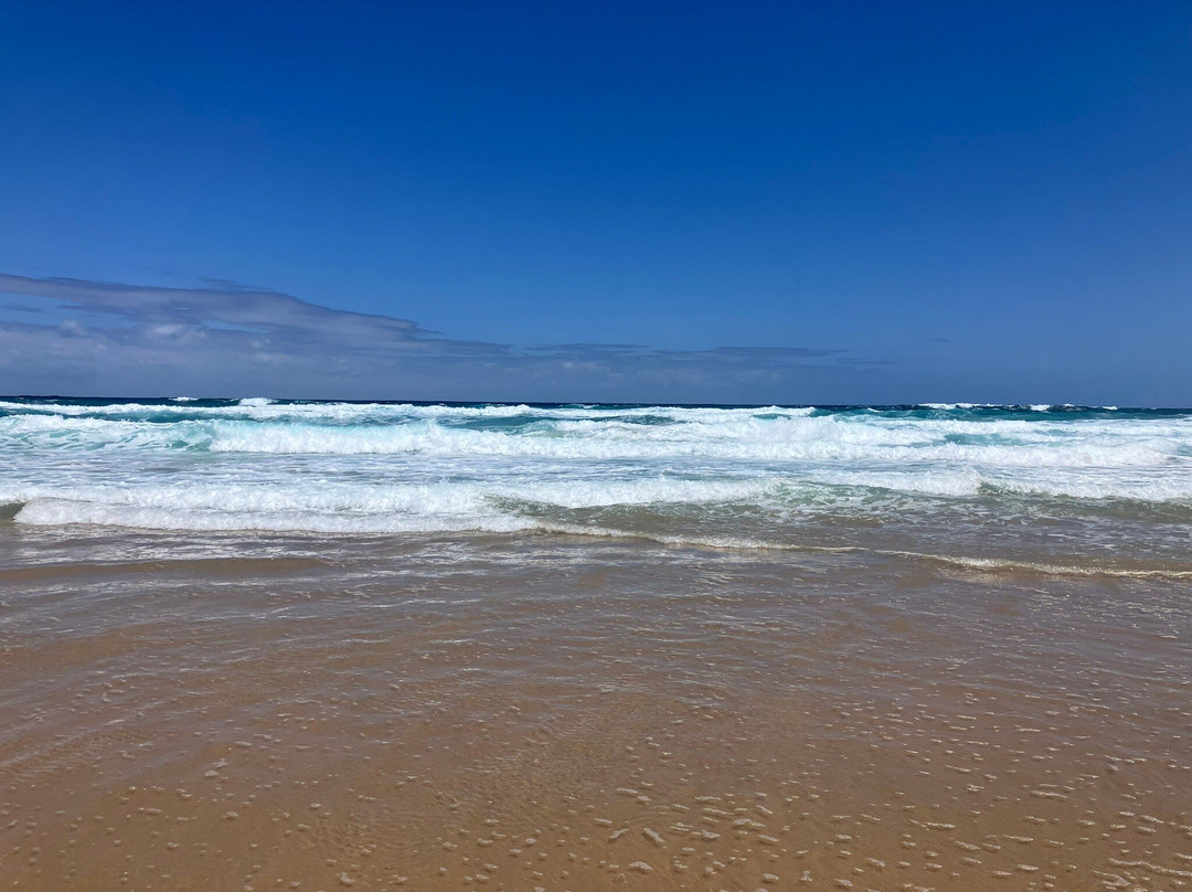 Playa de Cofete-Morro del Jable必去景点