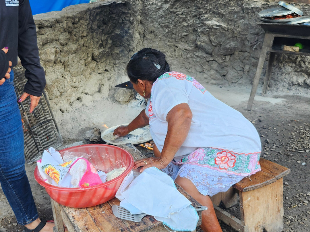YucatanCenote .com Eco-Adventures-Progreso必去景点
