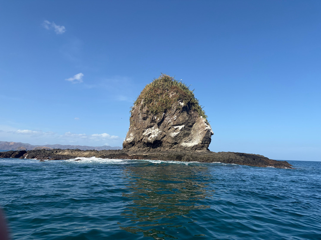 Hermosa Boat Trips-艾尔摩滩必去景点