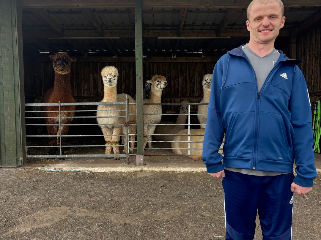 Larch Green Alpacas-格拉斯哥必去景点
