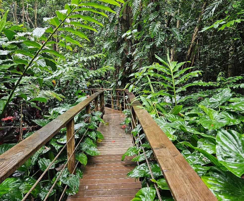 Kauai Safaris-利胡埃必去景点