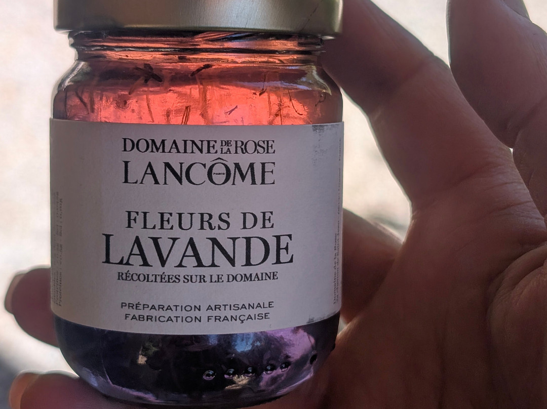 Domaine De La Rose Lancôme-Chateauneuf de Grasse必去景点