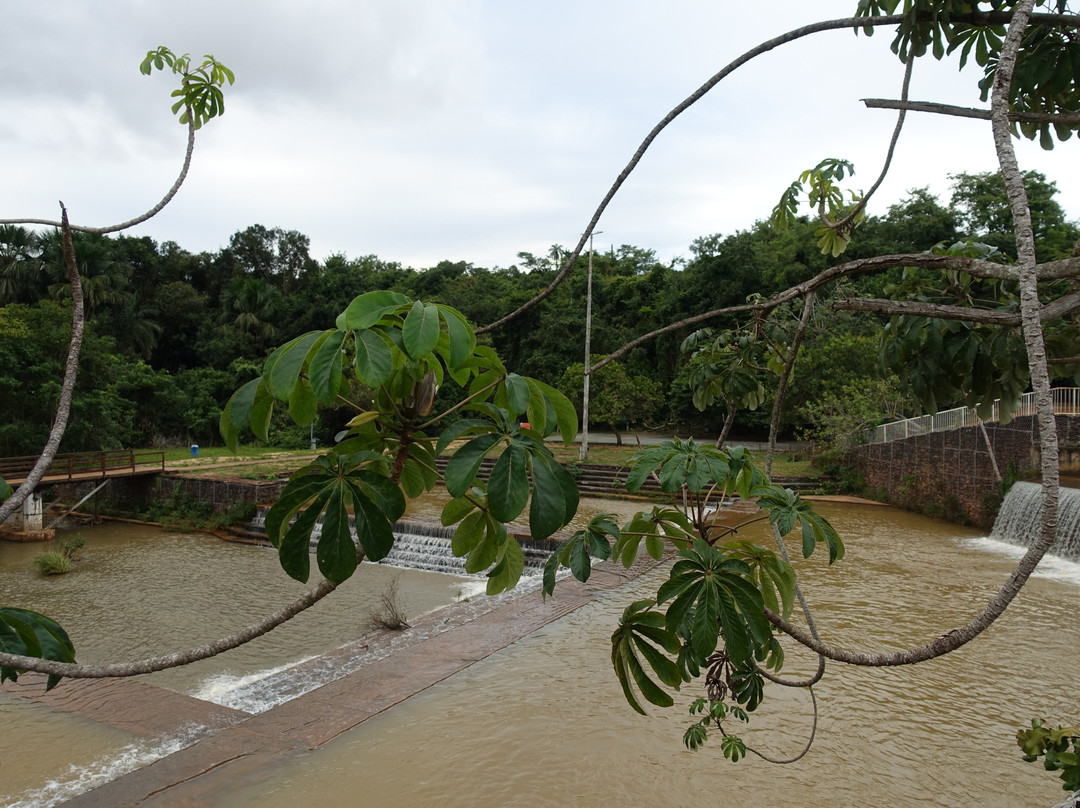 Cesamar Park-Palmas必去景点