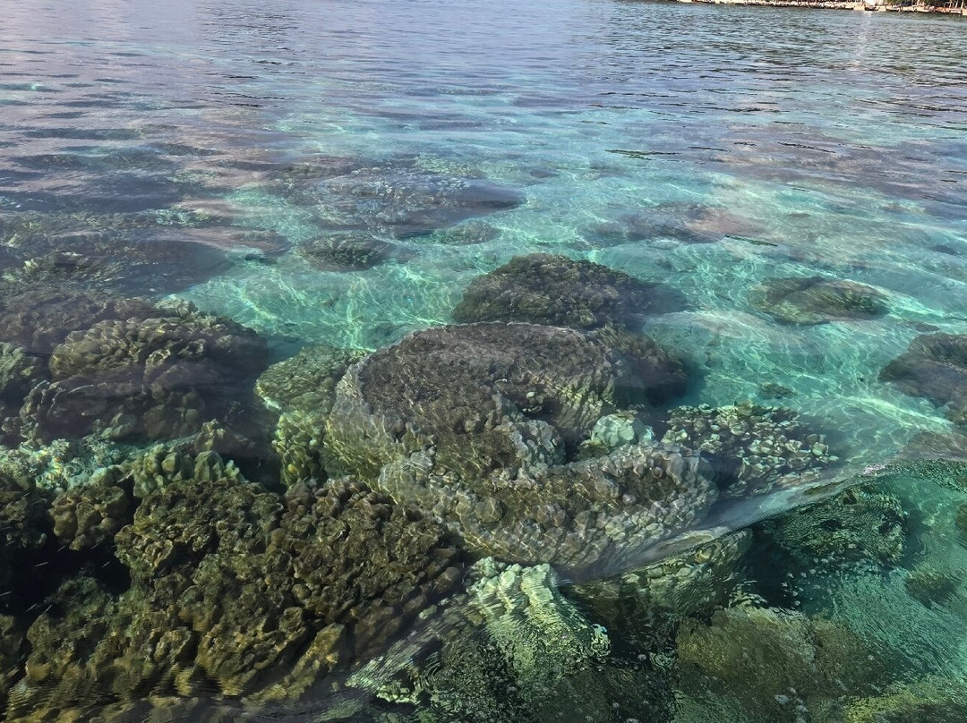 Satun Dive-丽贝岛必去景点
