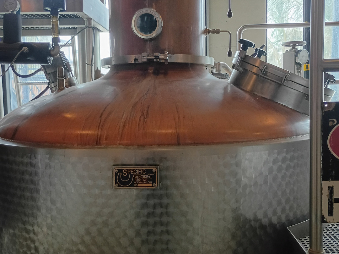 Seacrets Distilling Company-大洋城必去景点