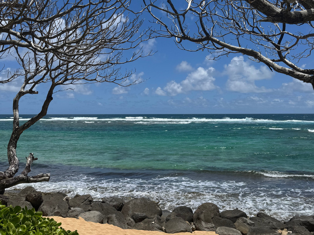 Hanalei Day Spa-哈纳雷伊必去景点