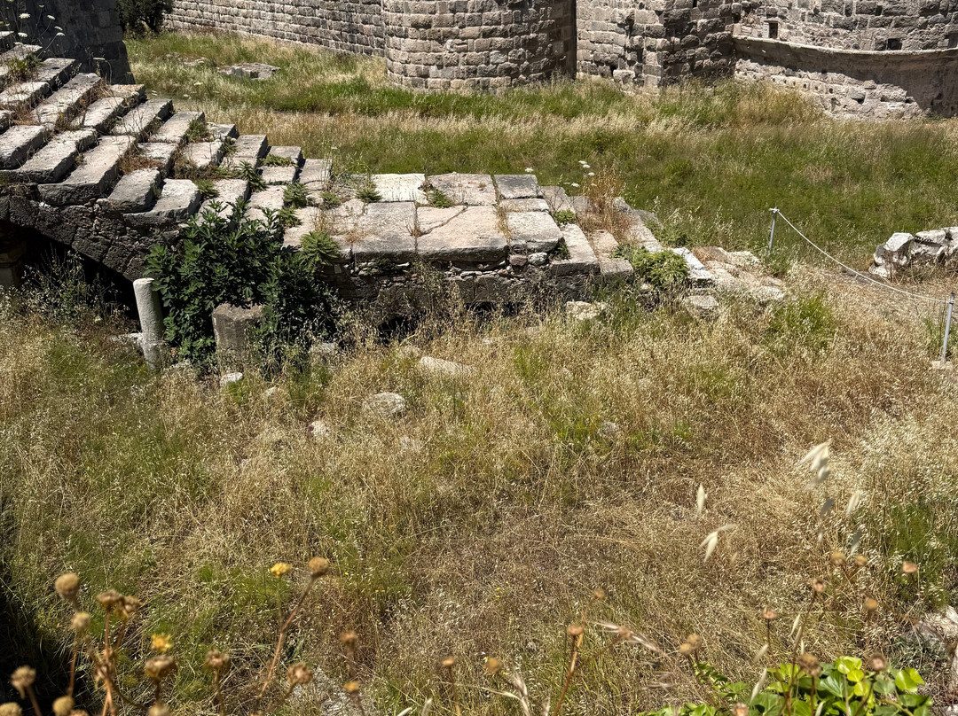Kos Town Castle-Kos Town必去景点