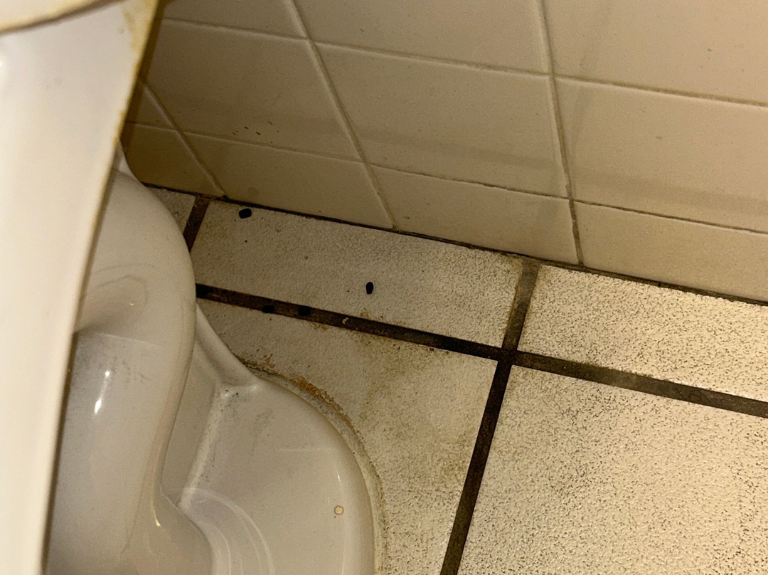 贝勒埃尔海滩度假汽车旅馆主图