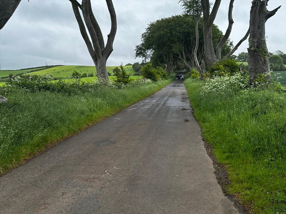 The Dark Hedges-巴利马尼必去景点
