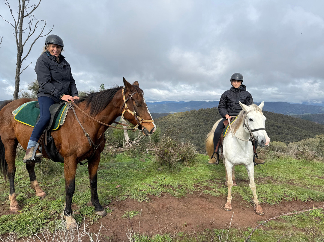 Watson's Mountain Country Trail Rides - Day Tours-曼斯菲尔德必去景点