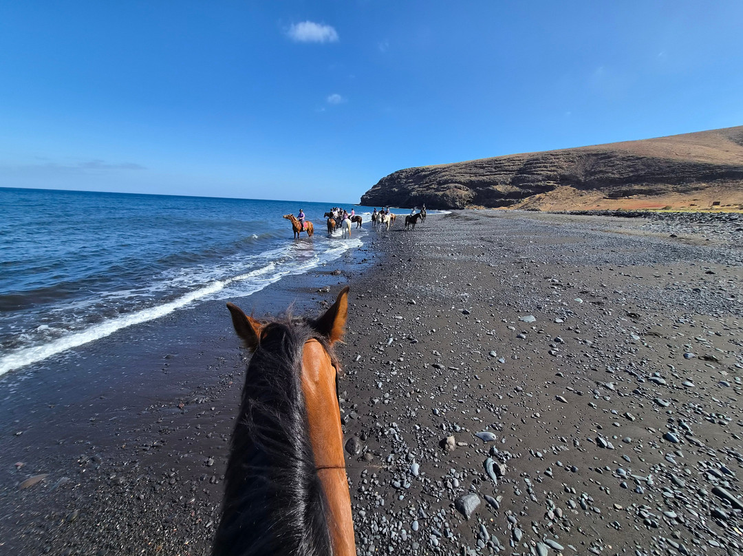 Lanzarote a Caballo-兰萨罗特必去景点