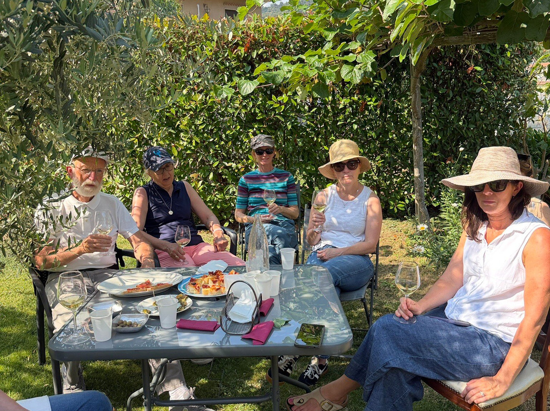 Foresti Wine - Azienda Agricola Foresti Marco-Camporosso必去景点