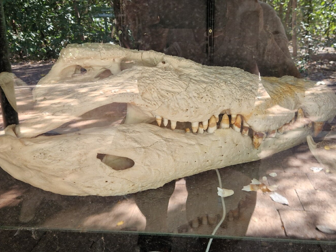 Territory Wildlife Park-Berry Springs必去景点