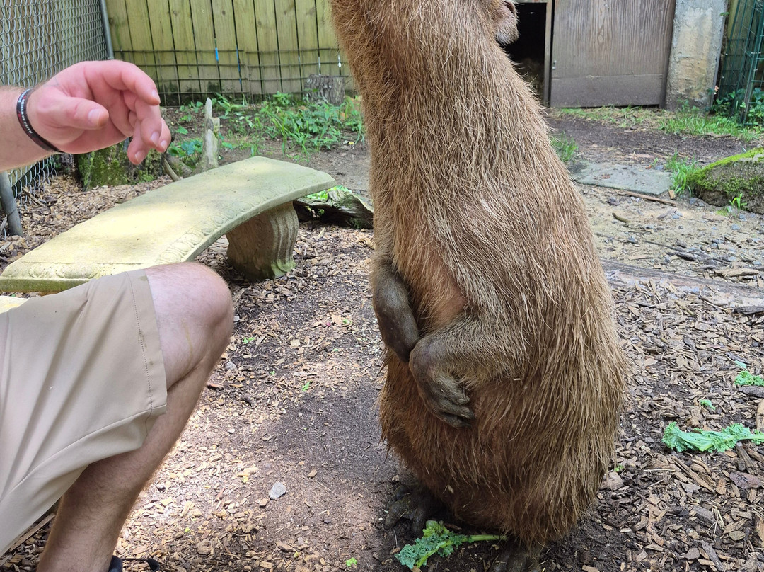 North Georgia Wildlife Park-Cleveland必去景点