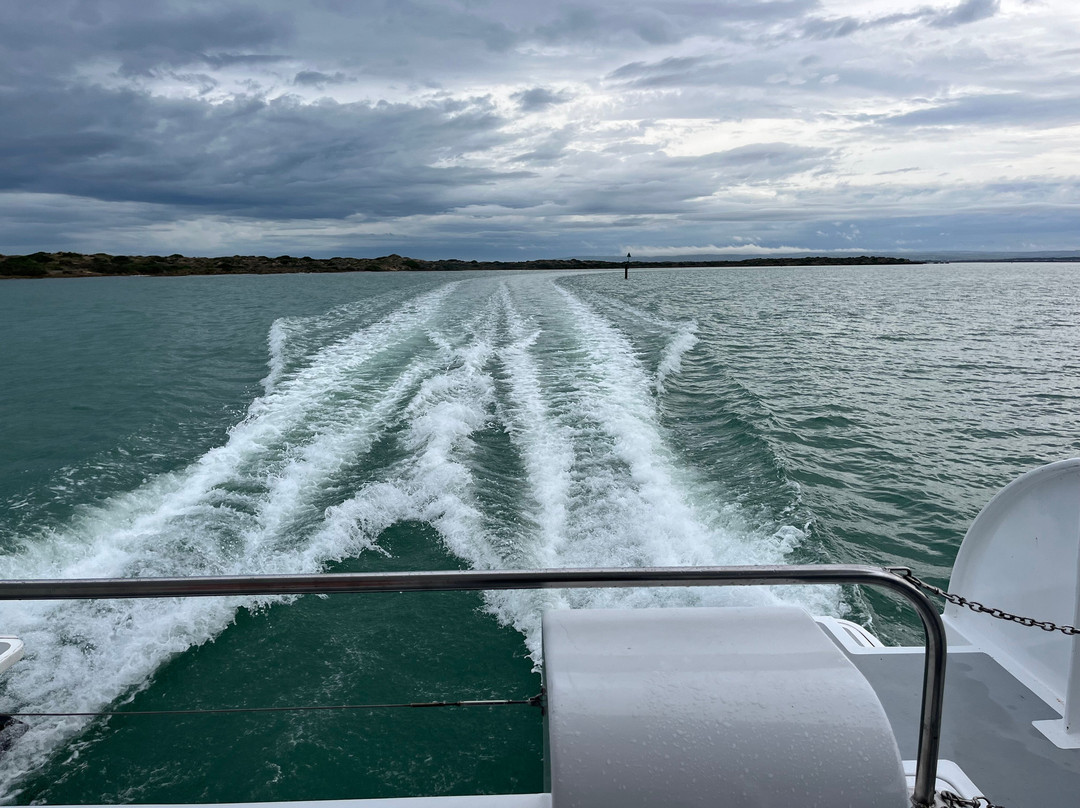 Spirit of the Coorong Cruises-Goolwa必去景点